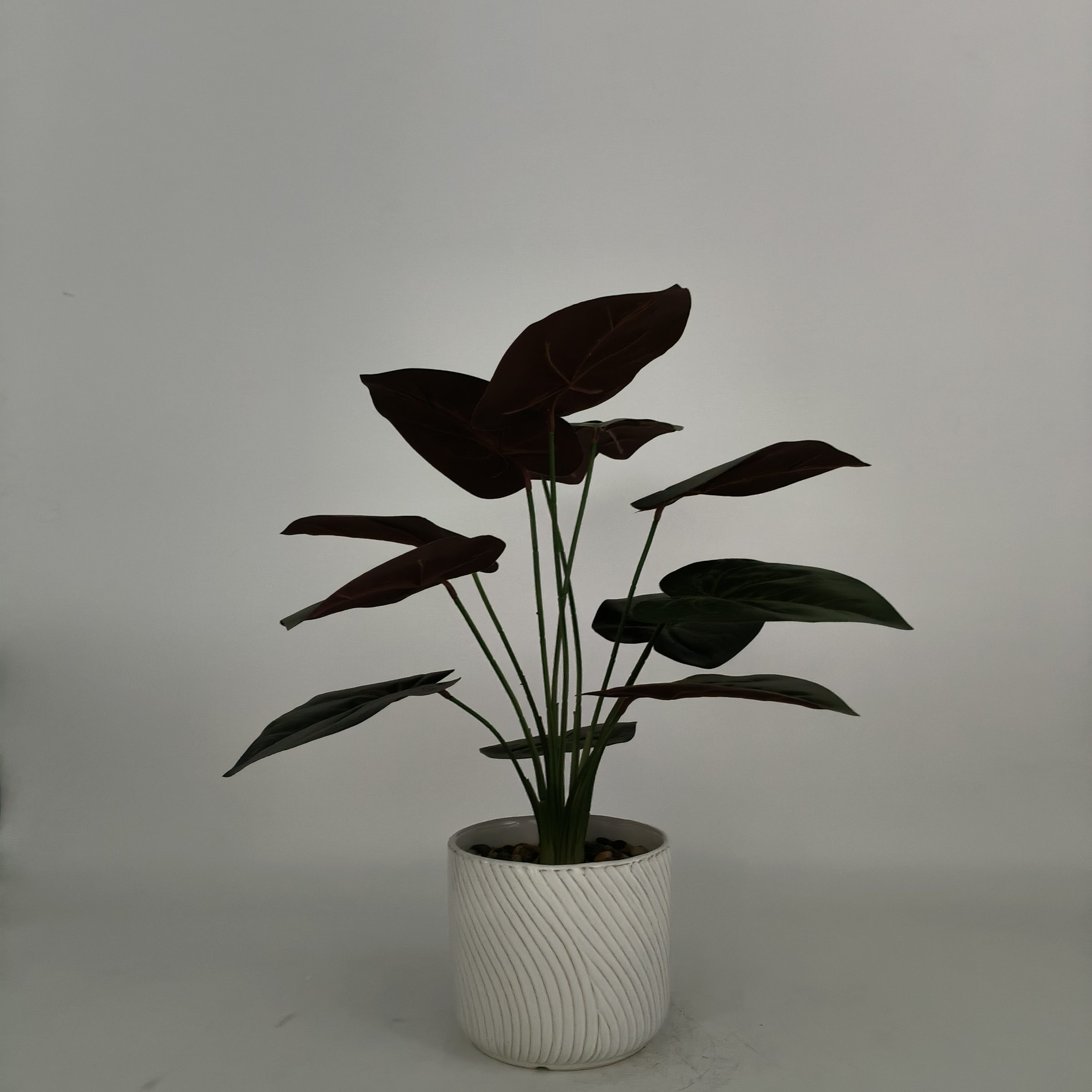 YL-R01299