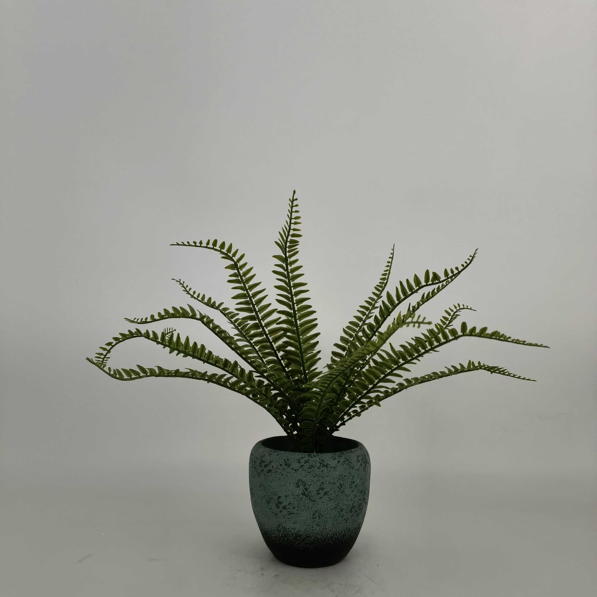 YL-R01301