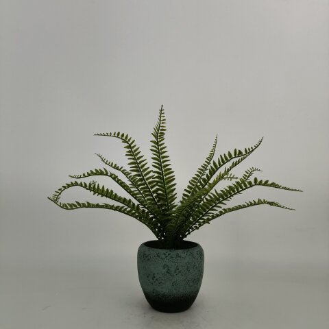 YL-R01301