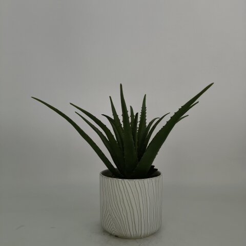 YL-R01302